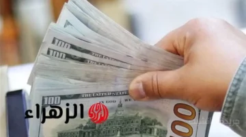 تطور جديد.. سعر الدولار الأمريكي يواصل الهبوط أمام الجنيه مفاجأة في تحديثات البنوك 1